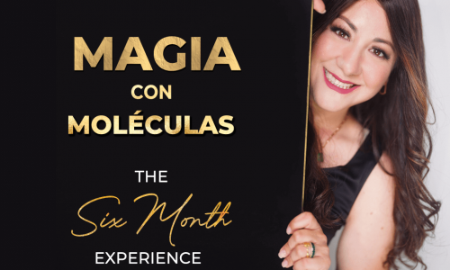 miniatura del curso